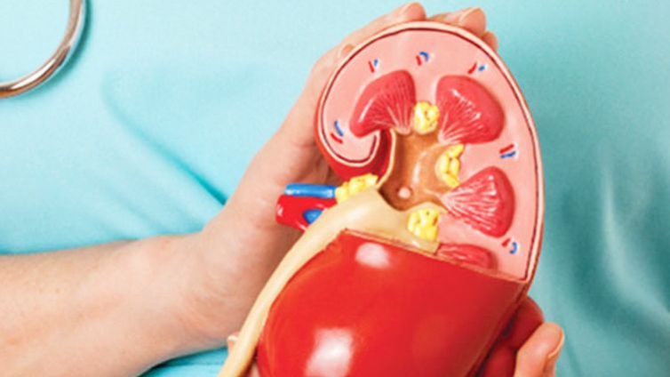 pediatric-nephrology